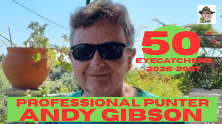PROFESSIONAL[ PUNTER (1)